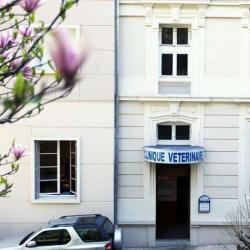 Clinique Vétérinaire De L'albion