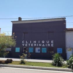 Clinique Vétérinaire De L'hermitage - Tain L'hermitage - Sevetys