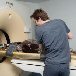 Clinique Vétérinaire De La Bastide De Robion