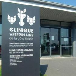Clinique Vétérinaire De La Côte Fleurie