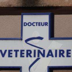 Clinique Vétérinaire De La Gare