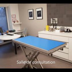 Clinique Vétérinaire De La Seille