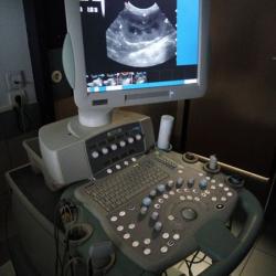 Clinique Vétérinaire De L'escapade