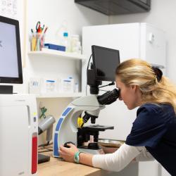 Clinique Vétérinaire De Puiseux Pontoise - Sevetys