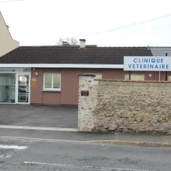 Clinique Vétérinaire C Son Vet