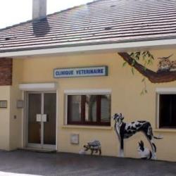 Clinique Vétérinaire De Triel-sur-seine - Sevetys
