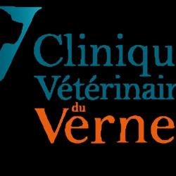 Clinique Vétérinaire De Vernet