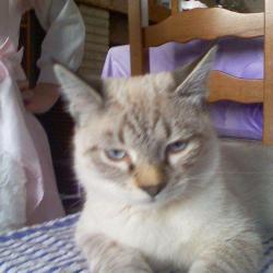 Clinique Veterinaire Des Docteurs Gerion N