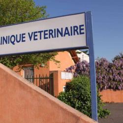 Vétérinaire