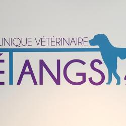 Clinique Vétérinaire Pérols Des Etangs