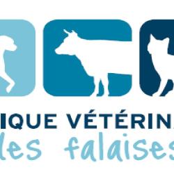 Clinique Veterinaire Des Falaises