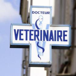 Clinique Vétérinaire Docteur C.clément