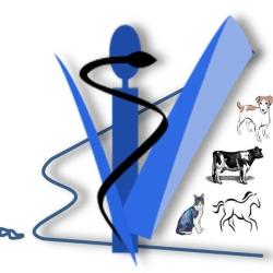 Clinique Veterinaire De Lanéon