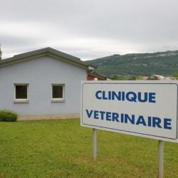 Clinique Vétérinaire Du Bas Bugey