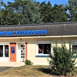 Clinique Vétérinaire Du Château