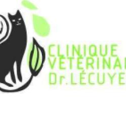 Clinique Vétérinaire Du Dr Lécuyer
