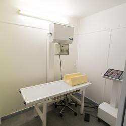 Clinique Vétérinaire Du Forum