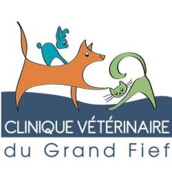 Clinique Vétérinaire Du Grand Fief