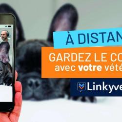 Clinique Veterinaire