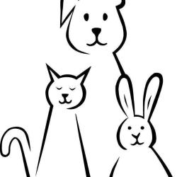 Clinique Veterinaire Du Lancier