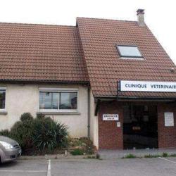 Clinique Vétérinaire