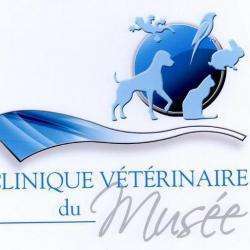 Clinique Vétérinaire Du Musée