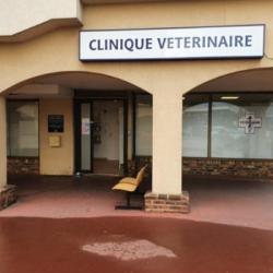 Clinique Vétérinaire Du Pecq - Sevetys