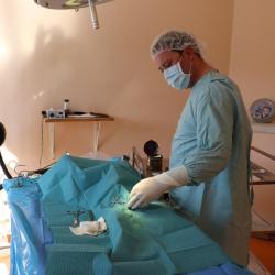 Clinique Vétérinaire Le Pontet Pigeonnier