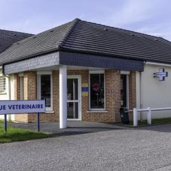 Clinique Vétérinaire Du Valasse - Gruchet-le-valasse - Sevetys