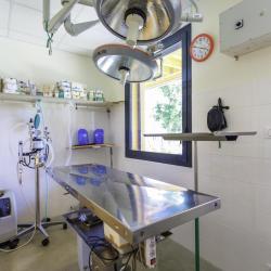 Clinique Vétérinaire Entre Deux Lacs