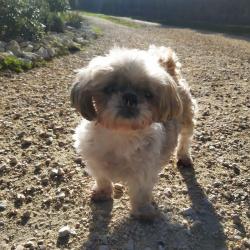 Clinique Veterinaire Espinaux