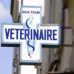 Clinique Vétérinaire Europa