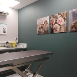 Clinique Vétérinaire Fegersheim