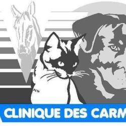 Clinique Veterinaire Fraiman