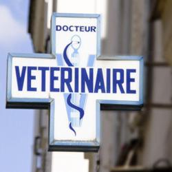 Clinique Vétérinaire