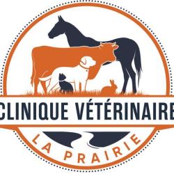 Clinique Vétérinaire La Prairie - Site D'ainay Le Château
