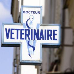 Clinique Vétérinaire Lazzaro
