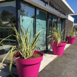 Clinique Vétérinaire Les Cabrières