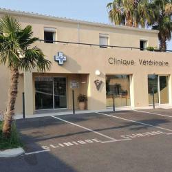 Clinique Vétérinaire Les Palmiers