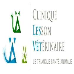 Clinique Vétérinaire Lesson