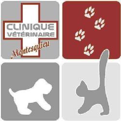 Clinique Vétérinaire Montesquieu