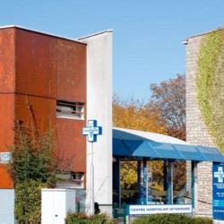 Centre Hospitalier Vétérinaire