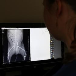 Clinique Véterinaire Les Trois Fontaines