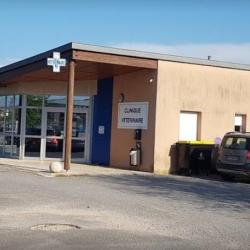 Clinique Vétérinaire Saint-usage