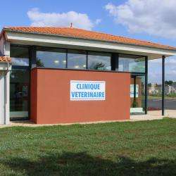 Clinique Veterinaire St Leonard