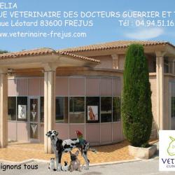 Clinique Vétérinaire Vet'aurelia