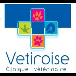 Clinique Vétérinaire Vétiroise De Landerneau