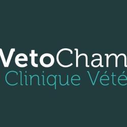 Clinique Vétérinaire Vetochamnord