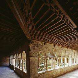 Cloitre Cathedrale De Frejus