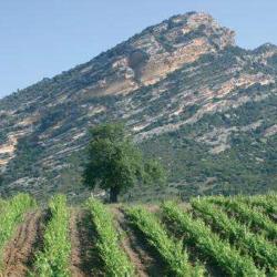 Clos Clementi